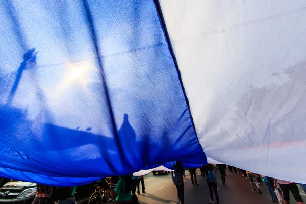 Le grand groupe de manifestants dans les rues — Photo