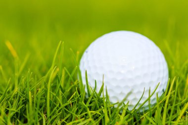 Golf Sahası