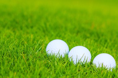 Golf Sahası