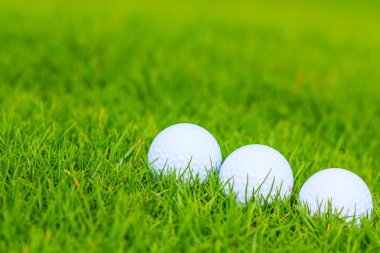 Golf Sahası