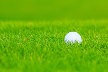 Golf Sahası