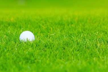 Golf Sahası