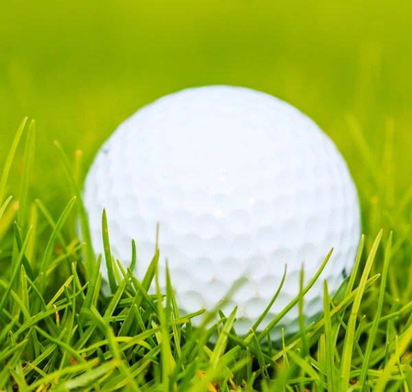 Golf course — Stock Photo, Image