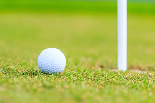 Golf Sahası — Stok fotoğraf