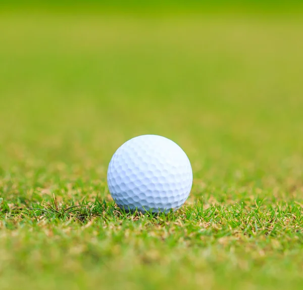 Golfbaan — Stockfoto