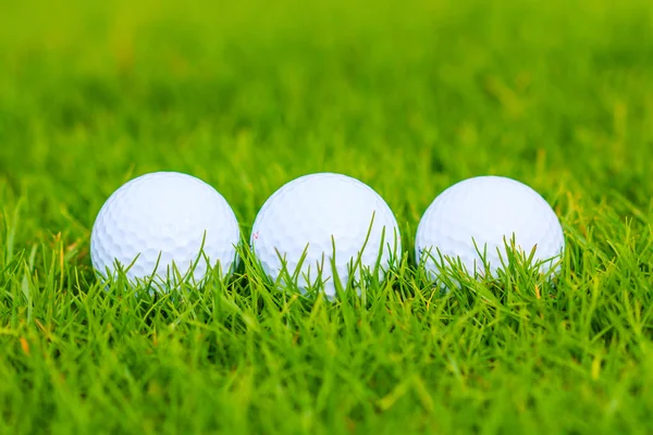 Golf course — Stock Photo, Image