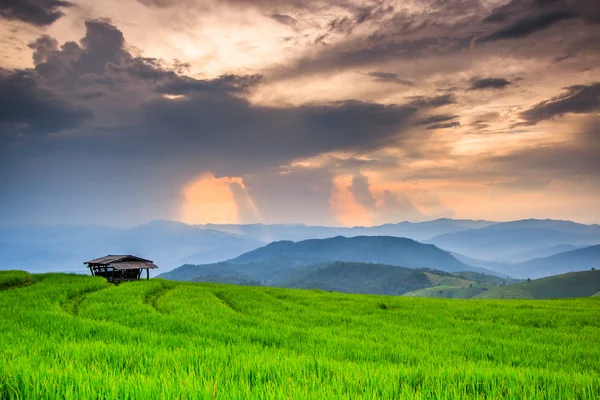 Paddy Green sunset — Stock Photo, Image