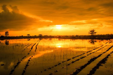 gün batımı sırasında su yansıma