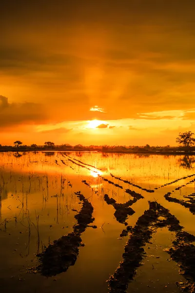 Reflexão da água durante o pôr do sol — Fotografia de Stock