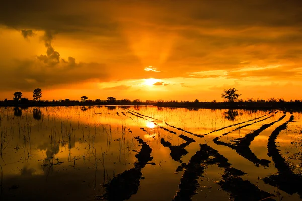Vatten eftertanke under solnedgången — Stockfoto