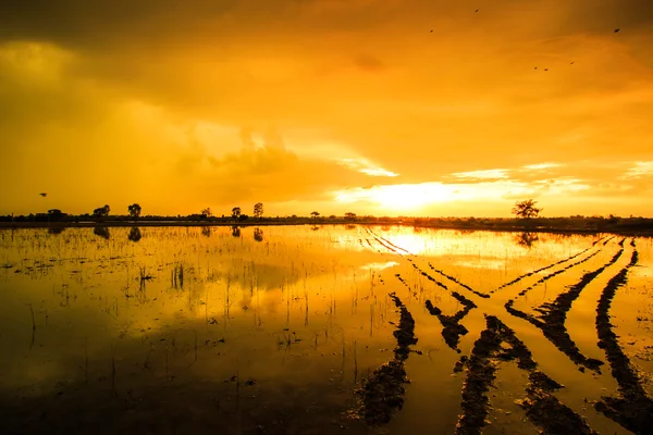 Reflexão da água durante o pôr do sol — Fotografia de Stock