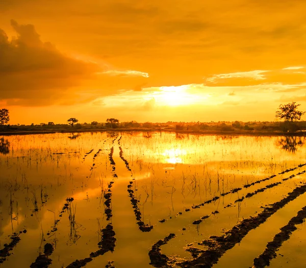 Reflexão da água durante o pôr do sol — Fotografia de Stock