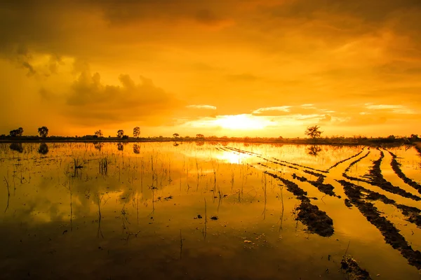 Wasserspiegelung bei Sonnenuntergang — Stockfoto