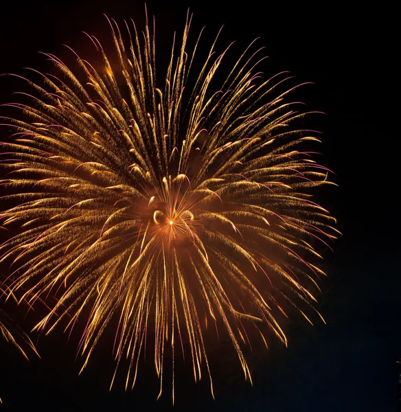 Fuochi d'artificio colorati — Foto Stock