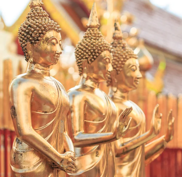 Golden Buddha in Temple — Stock Photo, Image