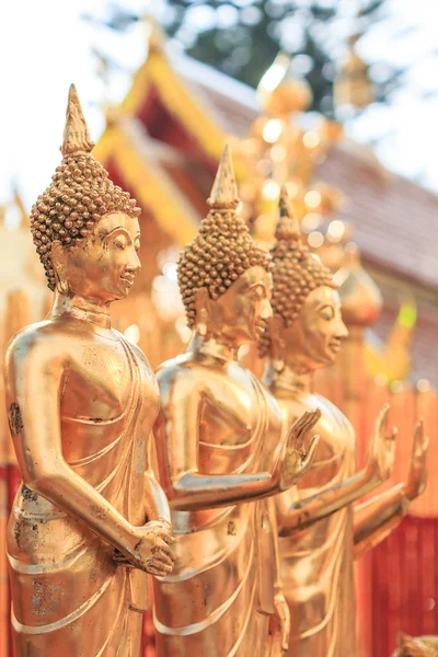 Zlatý buddha v chrámu — Stock fotografie