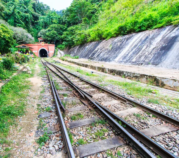 Ferrocarril Tutnnel — Foto de Stock