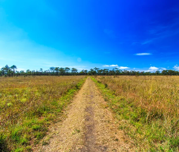 Weg — Stockfoto