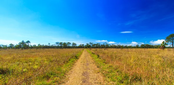 Weg — Stockfoto