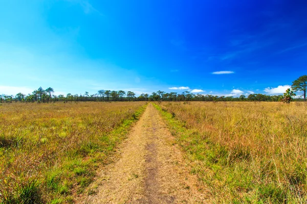 Weg — Stockfoto