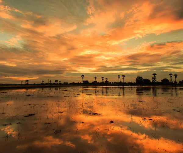 Silhouetten Landschaft — Stockfoto