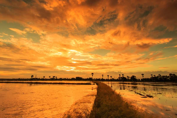 Silhouettes landscape — Stock Photo, Image