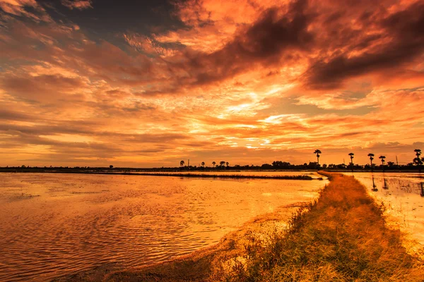 Silhouettes landscape — Stock Photo, Image