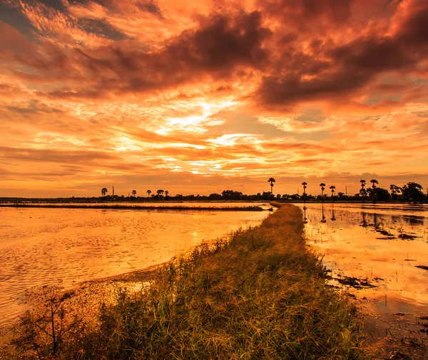 Silhouetten Landschaft — Stockfoto