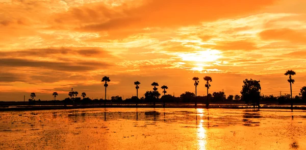 Silhouettes landscape — Stock Photo, Image