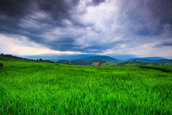 Paddy Green sunset view — Stock Photo, Image