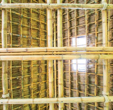 Bambu ve saman çatı
