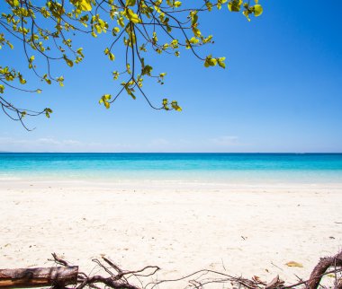 plaj ve tropikal deniz kum