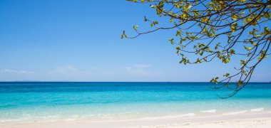 plaj ve tropikal deniz kum