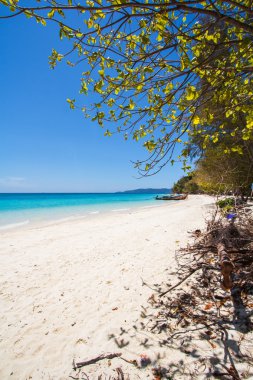 plaj ve tropikal deniz kum