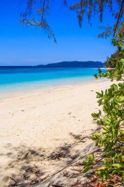 plaj ve tropikal deniz kum
