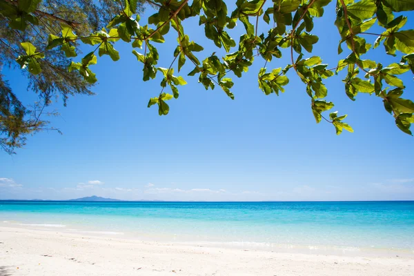 Playa y arena marina tropical — Foto de Stock