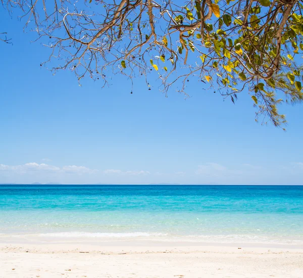 Spiaggia e sabbia tropicale — Foto Stock