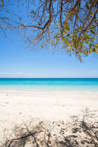 Playa y arena marina tropical — Foto de Stock