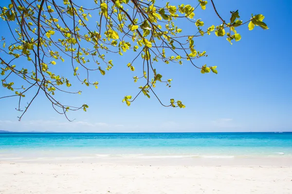 Praia e areia marinha tropical — Fotografia de Stock