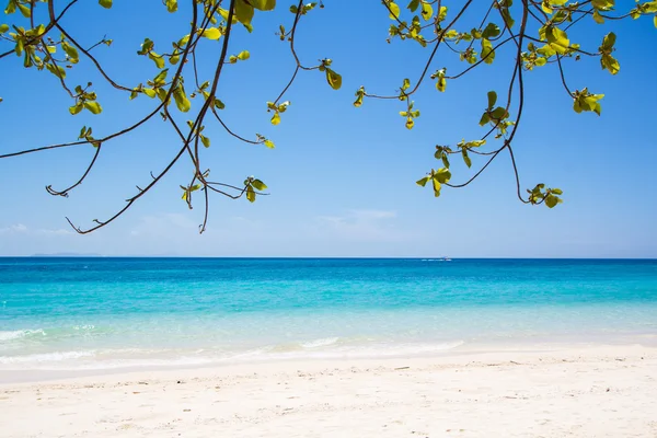 Пляж и тропический морской песок — стоковое фото