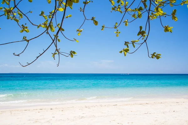 Spiaggia e sabbia tropicale — Foto Stock