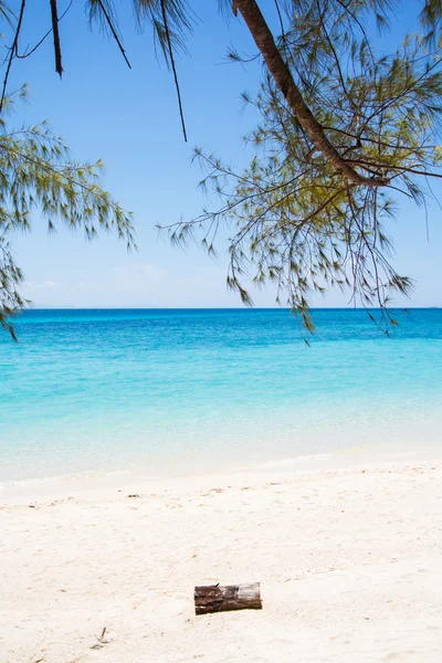 Spiaggia e sabbia tropicale — Foto Stock