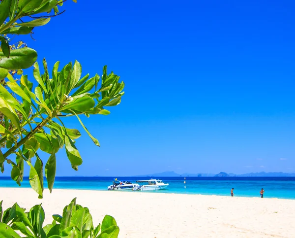 Playa y arena marina tropical — Foto de Stock