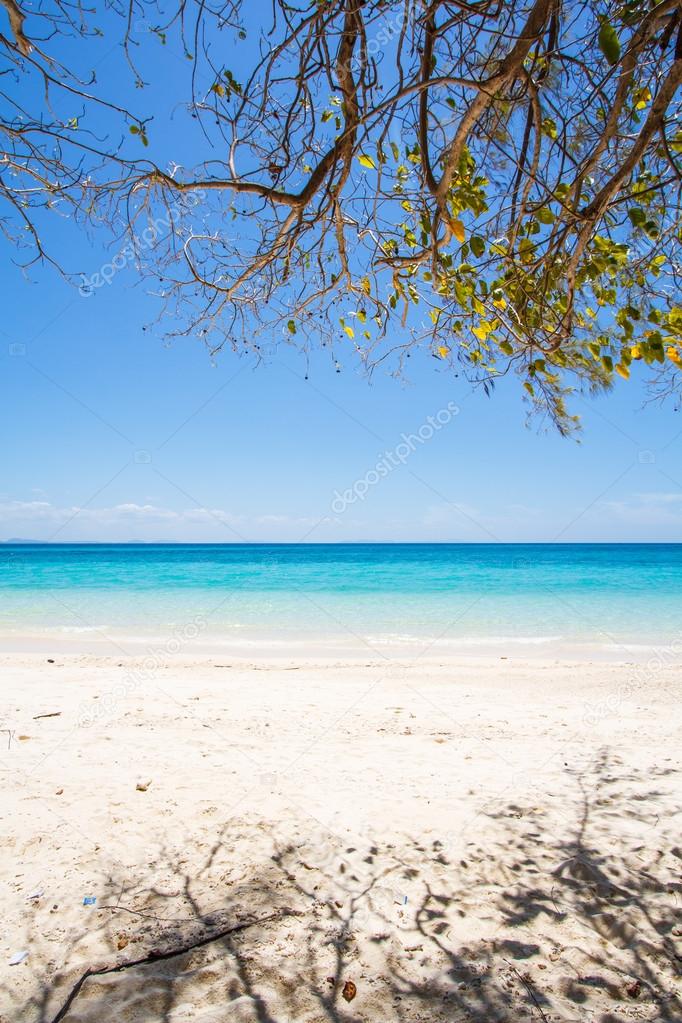 Beach and tropical sea sand