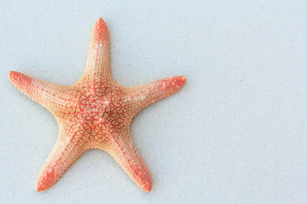 Starfish on white sand — Stock Photo, Image