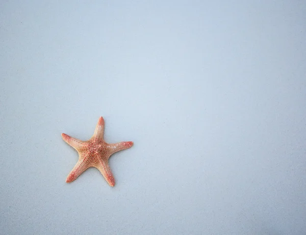 Starfish on white sand — Stock Photo, Image