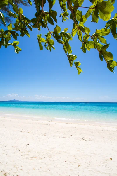 Playa y arena marina tropical — Foto de Stock