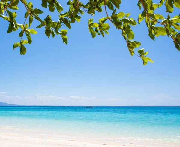 Playa y arena marina tropical — Foto de Stock