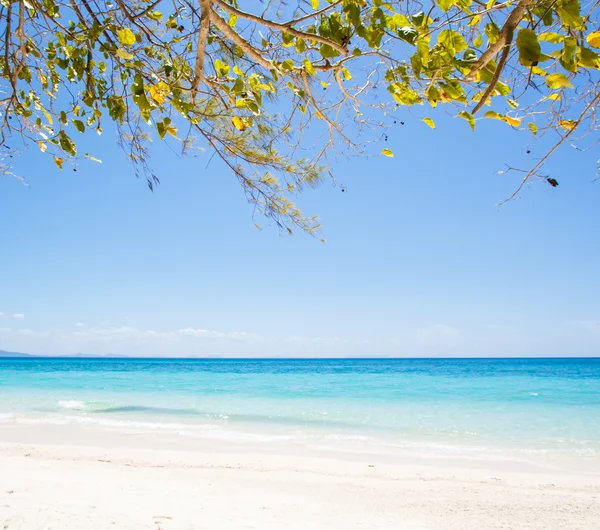 Plage et sable tropical de la mer — Photo