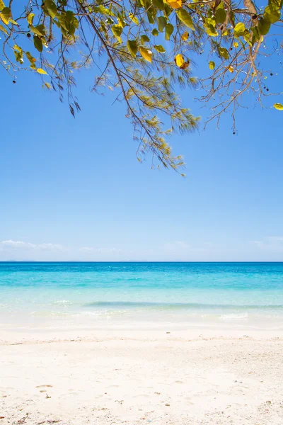 Playa y arena marina tropical — Foto de Stock